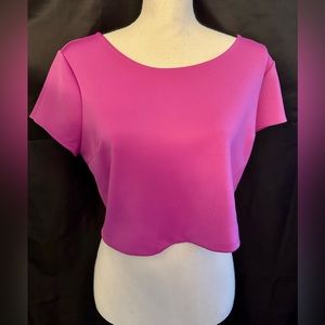 New without Tags Magenta Purple EXPRESS Cropped Top; Size Large